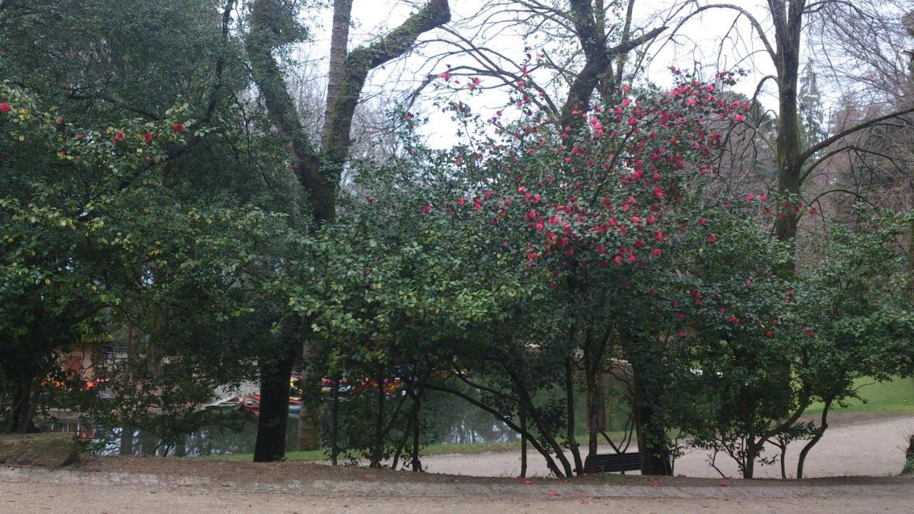 Hotel Do Parque Брага Экстерьер фото