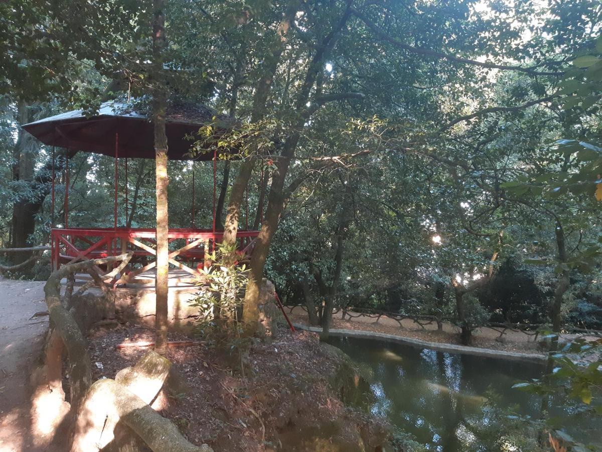 Hotel Do Parque Брага Экстерьер фото